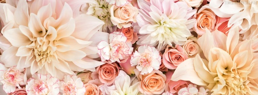 TimelineCovers.pro_flowers-dahlias-roses-and-carnations-in-pastels-facebook-cover