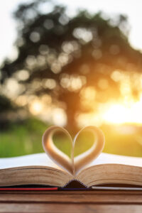 Close up book on table in sunset time